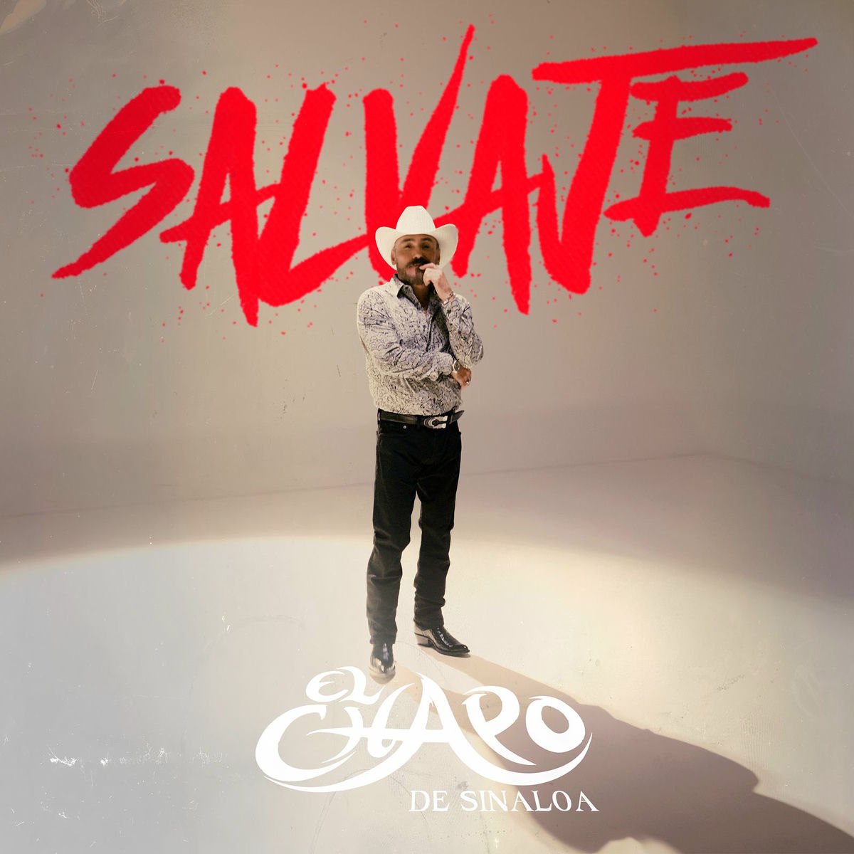 Album cover of Salvaje