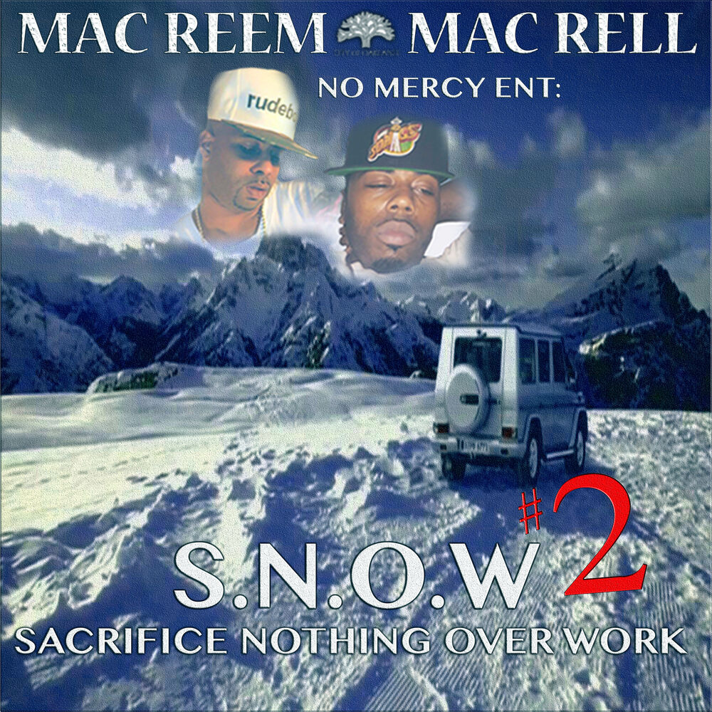 Picture of S.n.O.W. 2 (Sacrifice Nothing over Work)