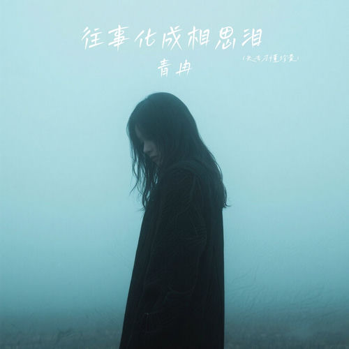 往事化成相思泪 (失去才懂珍贵)