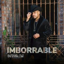 Cover of Imborrable