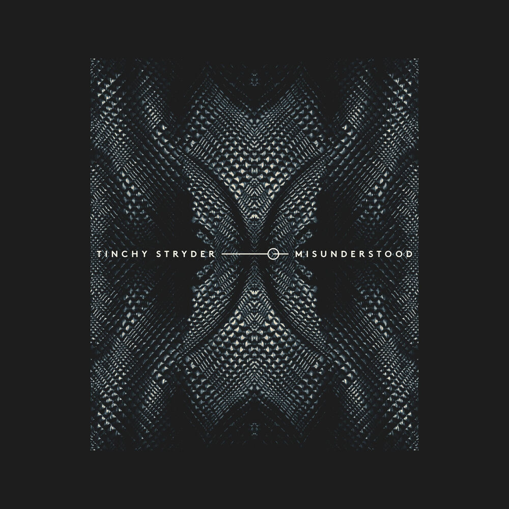 Picture of Misunderstood