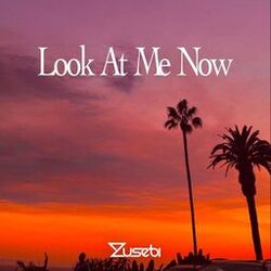 Look At Me Now