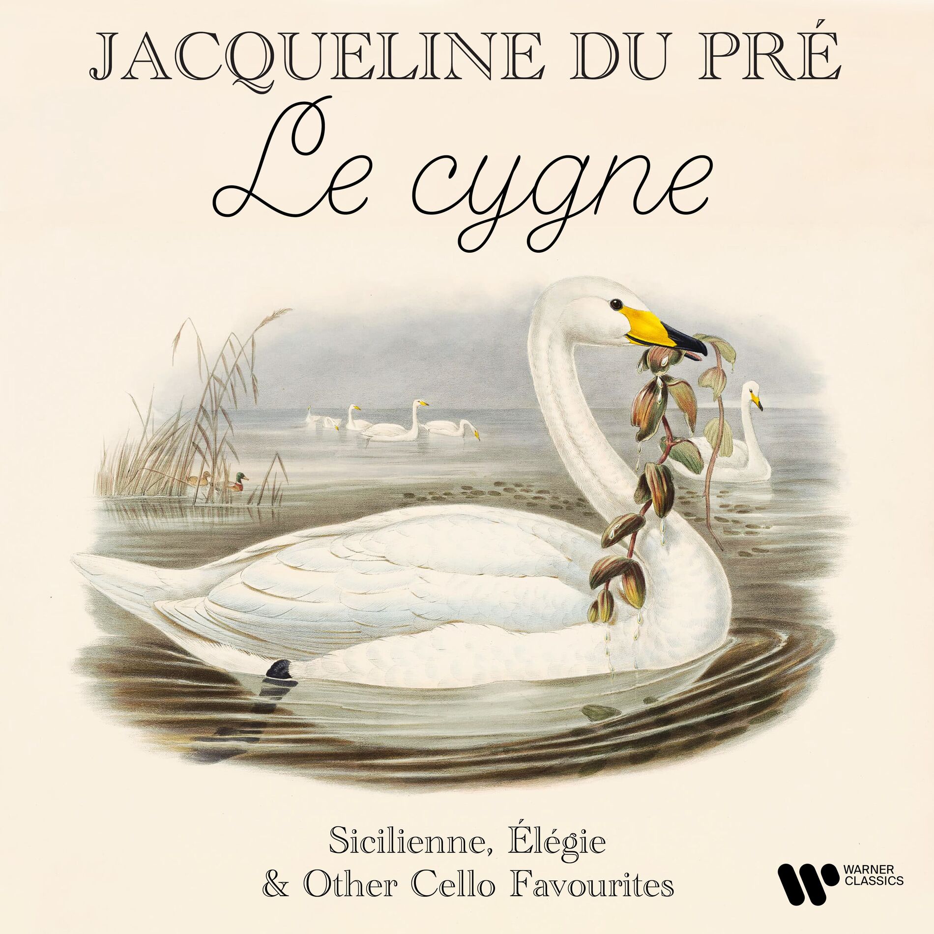 Album cover of 