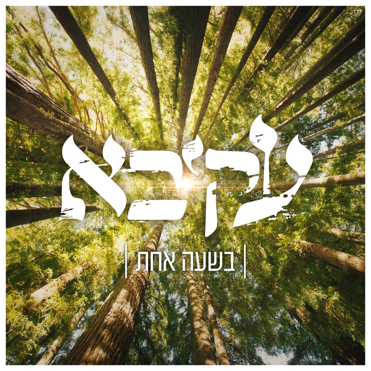 Album cover of בשעה אחת