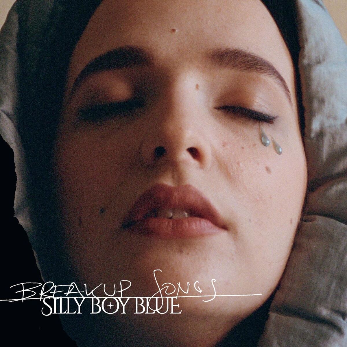 Album cover of The Fight