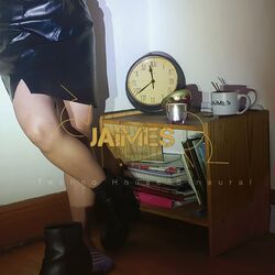 Cover of Caminando en el cuarto