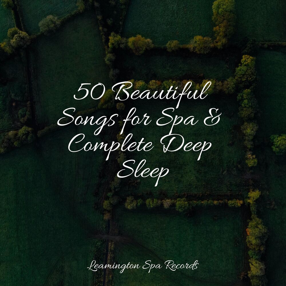Picture of 50 Beautiful Songs for Spa & Complete Deep Sleep