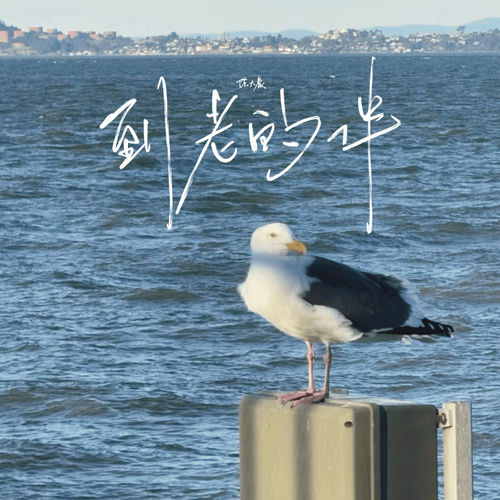 到老的伴