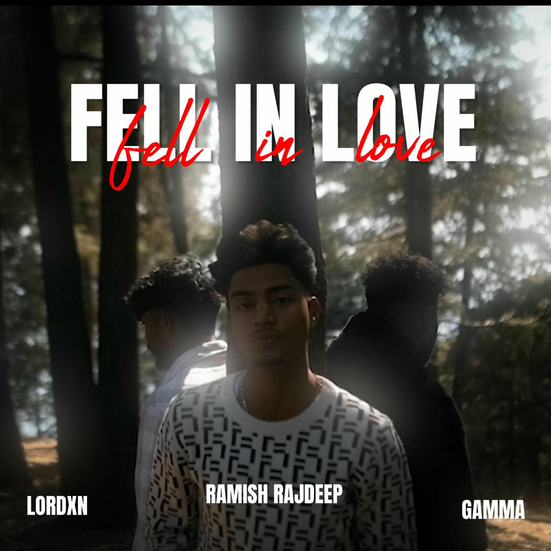 Album cover of Fell in love (feat. lordxn & Gammá)