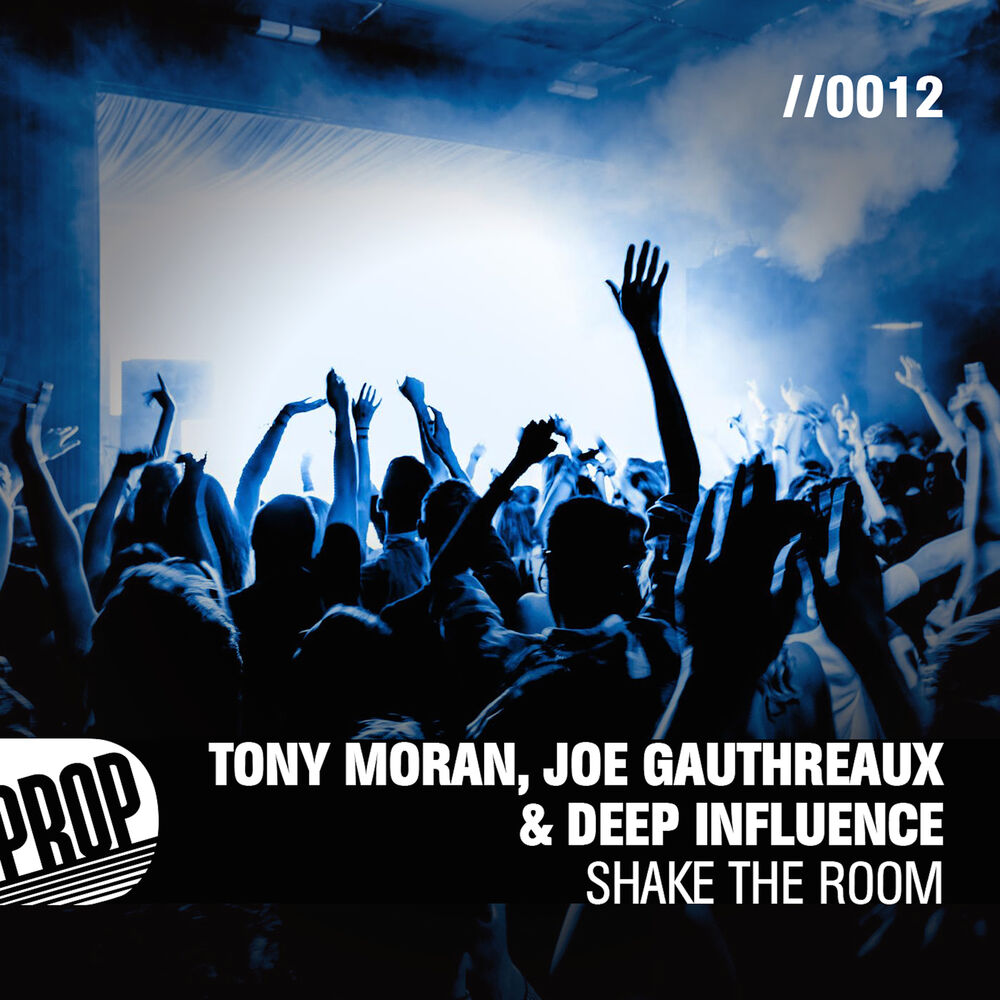 Picture of Shake the Room