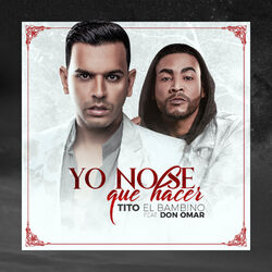 Cover of Yo No Se Que Hacer