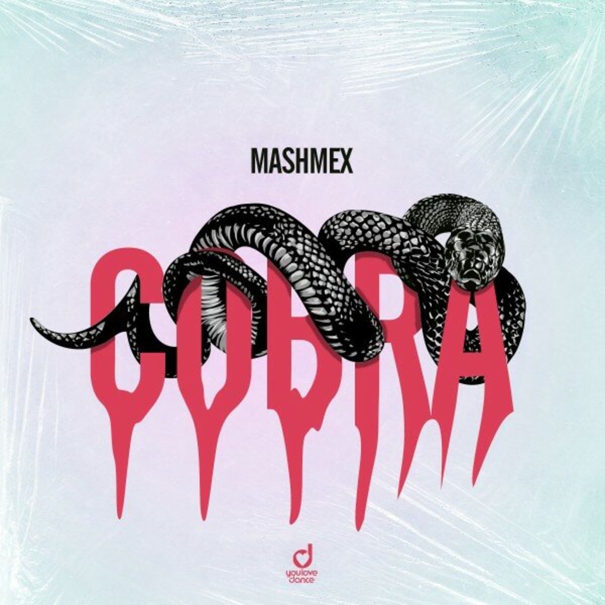 Album cover of Cobra