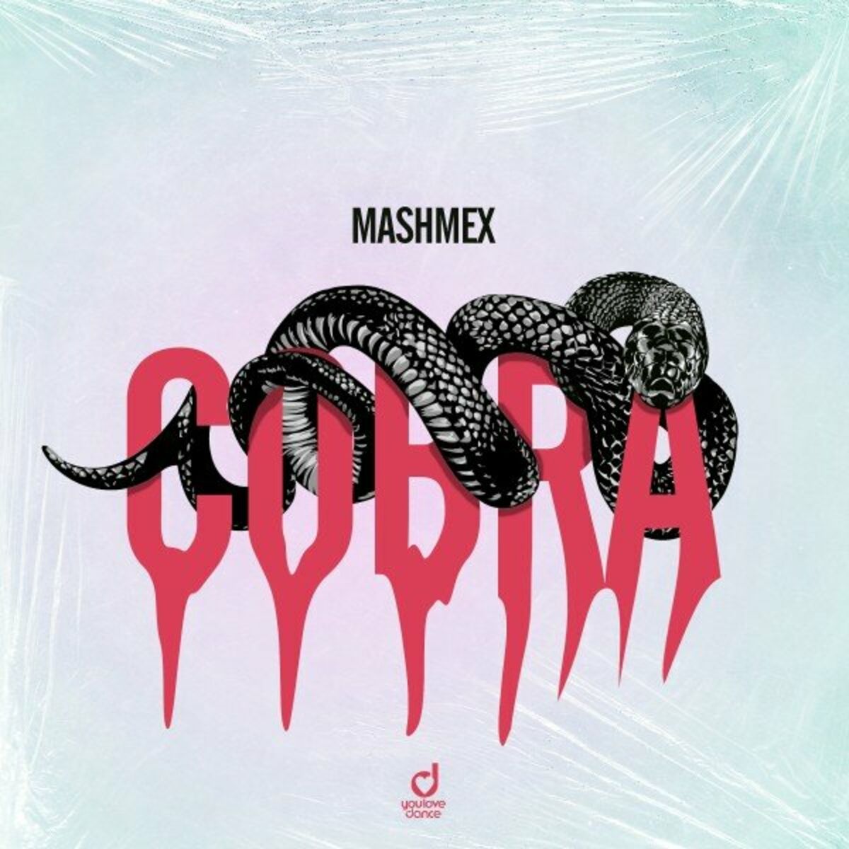 Album cover of Cobra