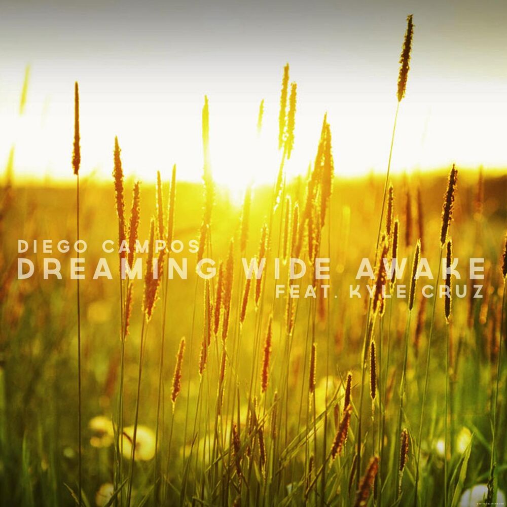 Picture of Dreaming Wide Awake (feat. Kyle Cruz)