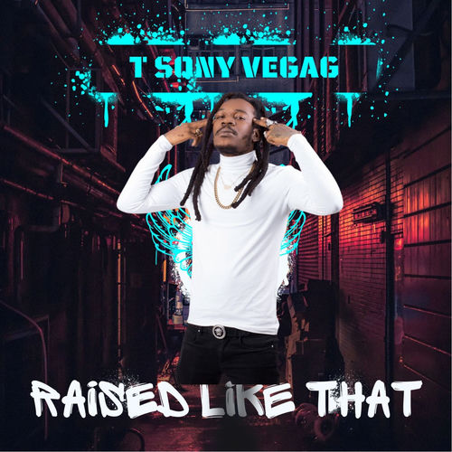 T SONY VEGAS RAISED LIKE THAT — Haitian sky