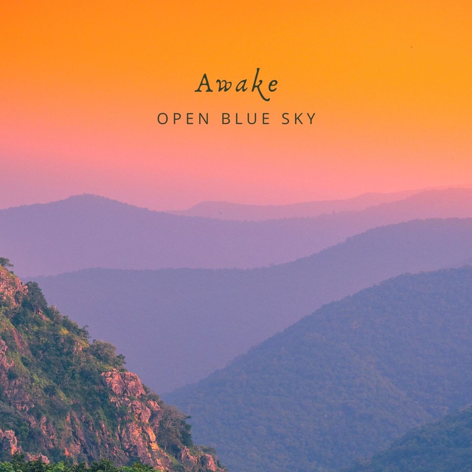 Album cover of Awake