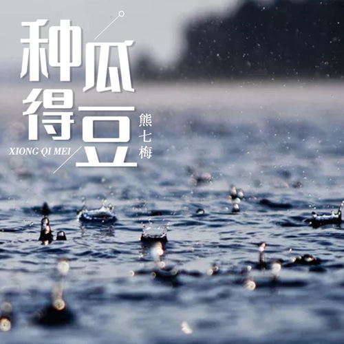 種瓜得豆