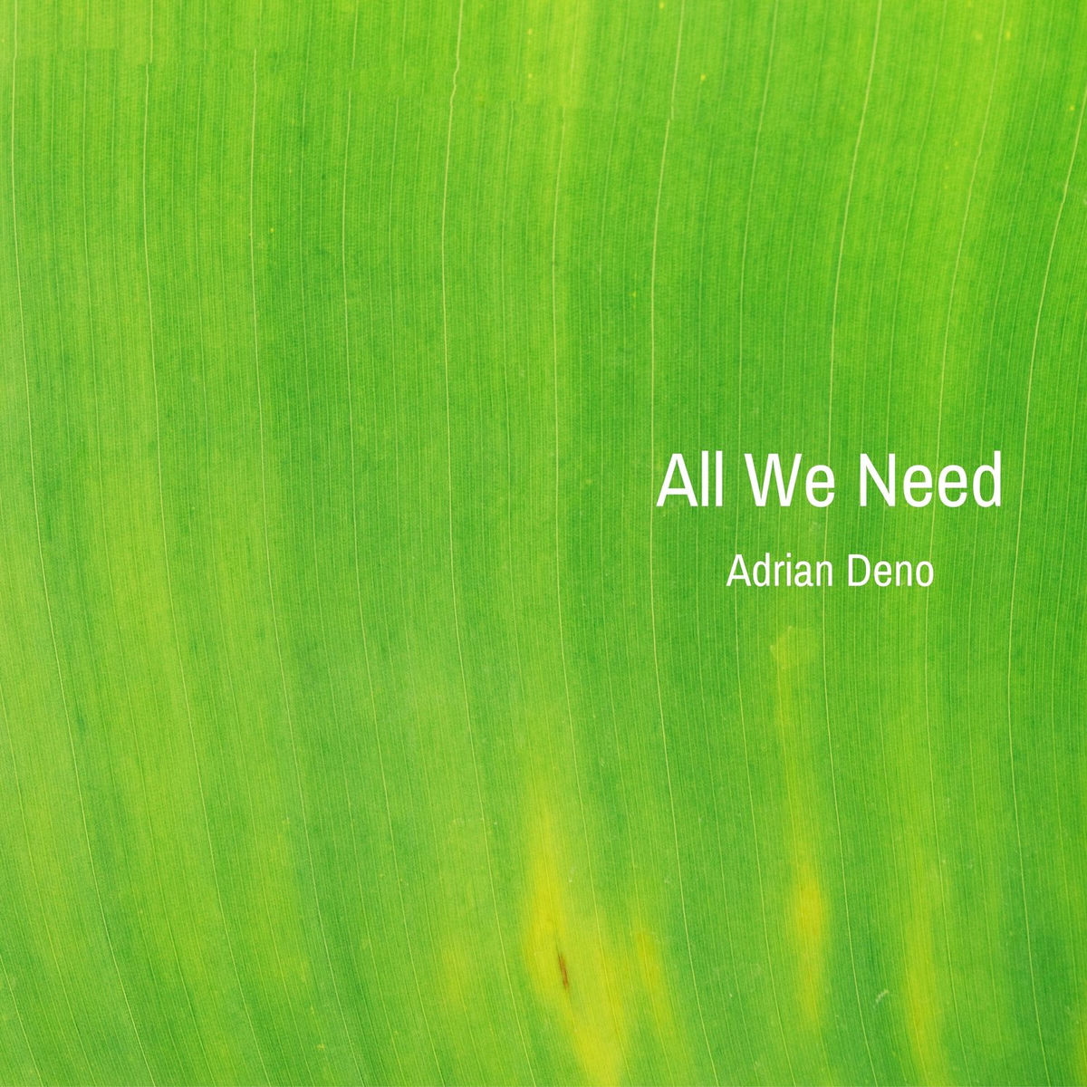 Album cover of All We Need
