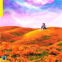 Cover of California Poppy