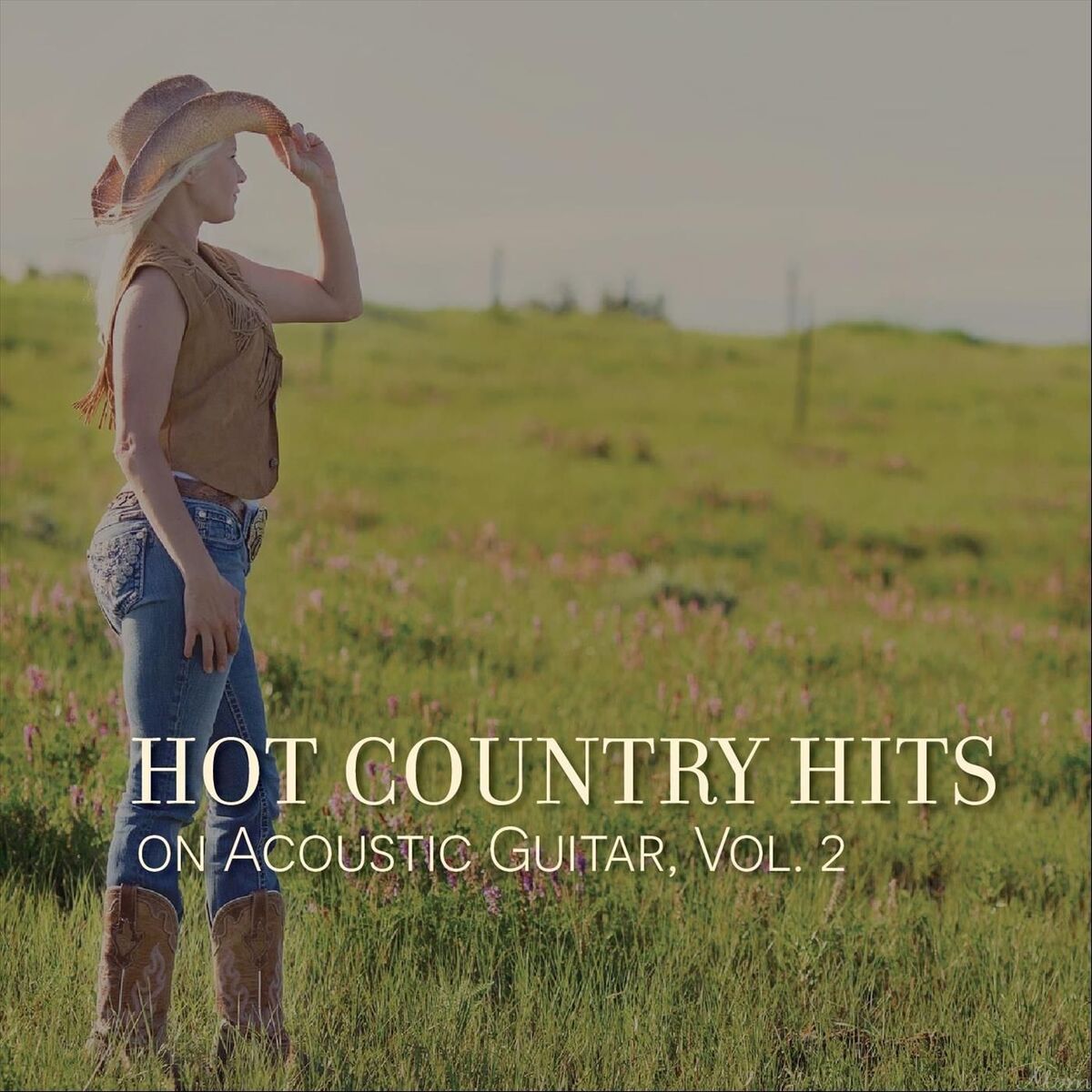 Album cover of Hot Country Hits on Acoustic Guitar, Vol. 2