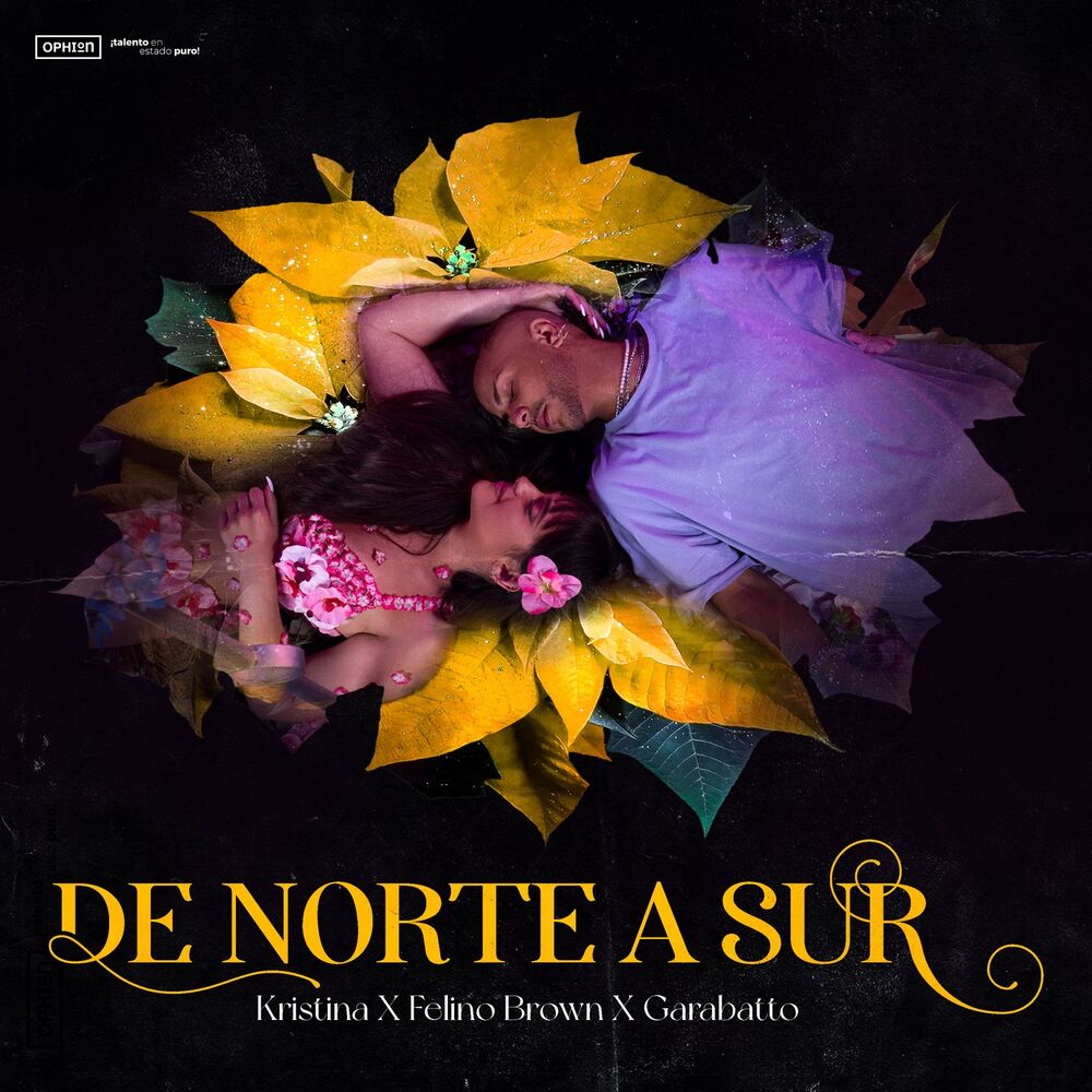 Picture of De Norte a Sur