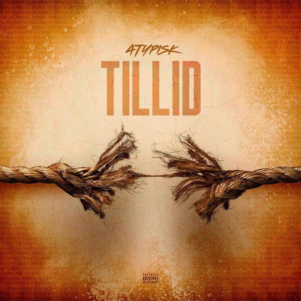 Picture of Tillid