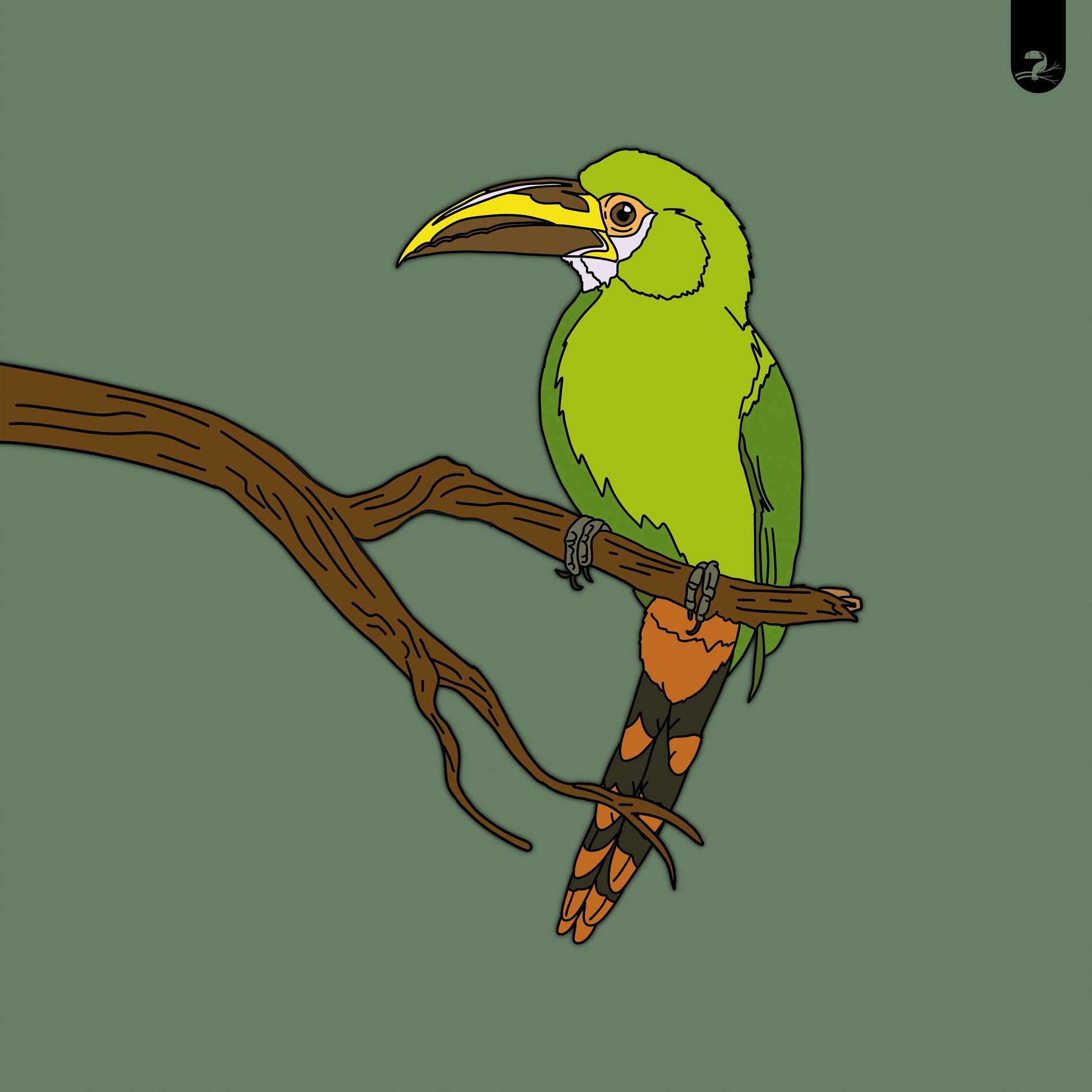 Album cover of Toucanet