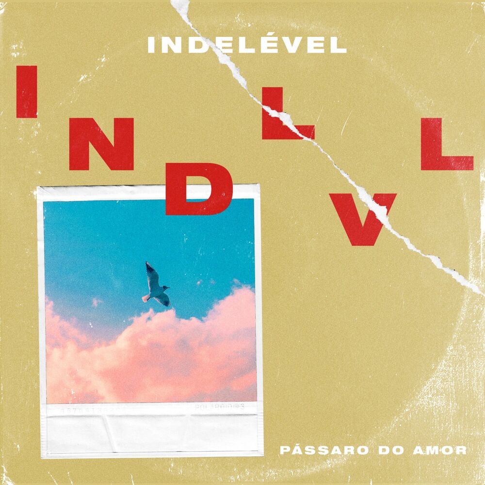 Picture of Pássaro do Amor