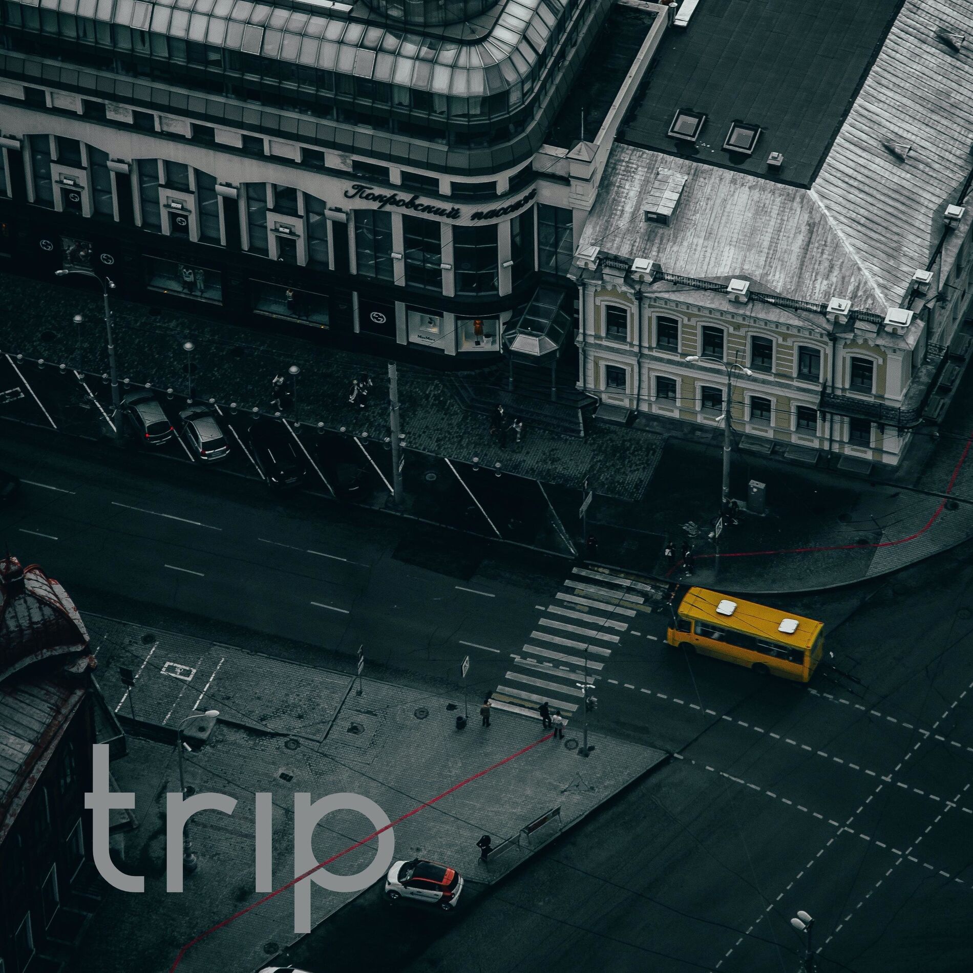 Album cover of Trip (feat. Goose)