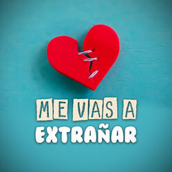 Cover of Me Vas a Extrañar