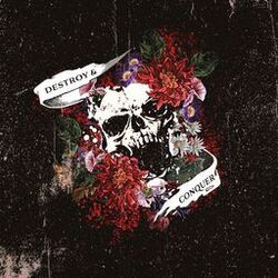 Cover of Destroy And Conquer
