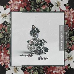 Cover of Wildboy