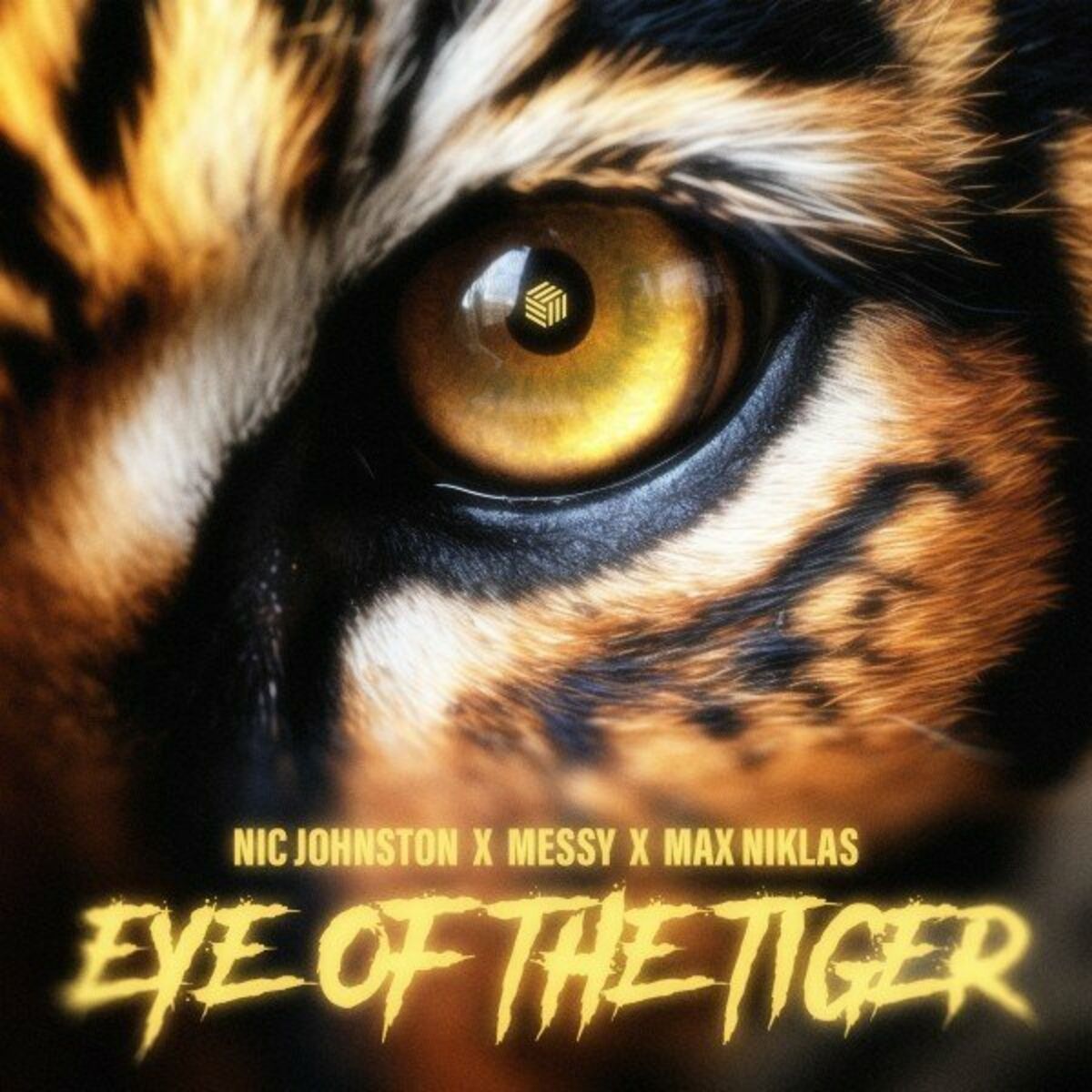 Album cover of Eye of the Tiger