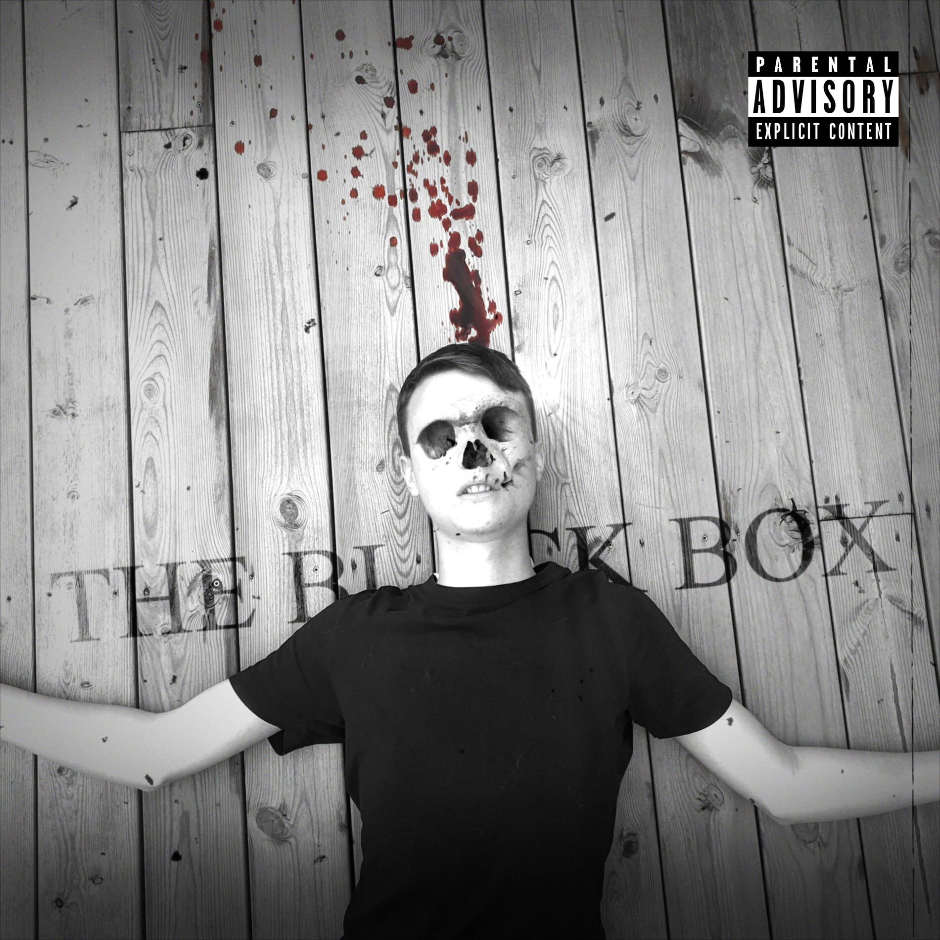 Album cover of The Black Box