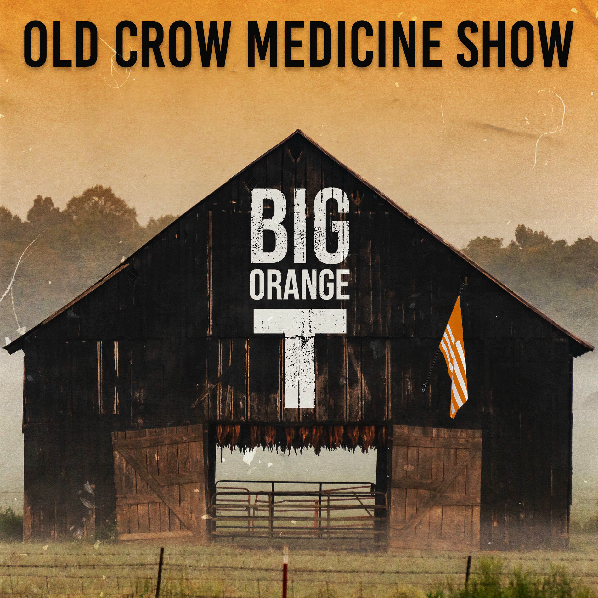 Album cover of Big Orange T