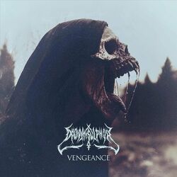 Cover of Vengeance