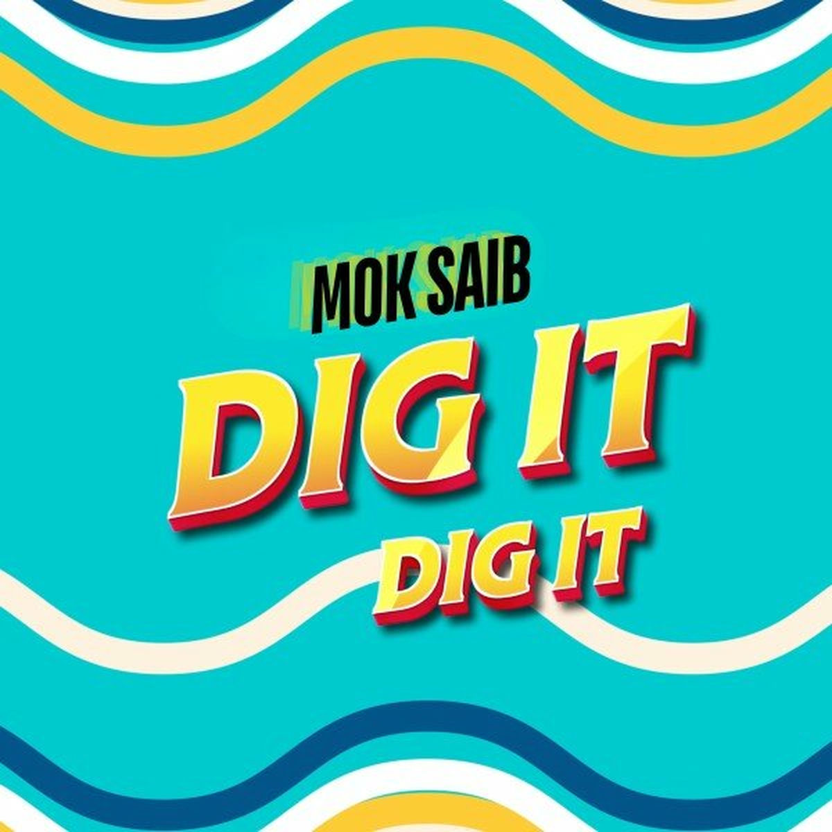Album cover of Dig It Dig It