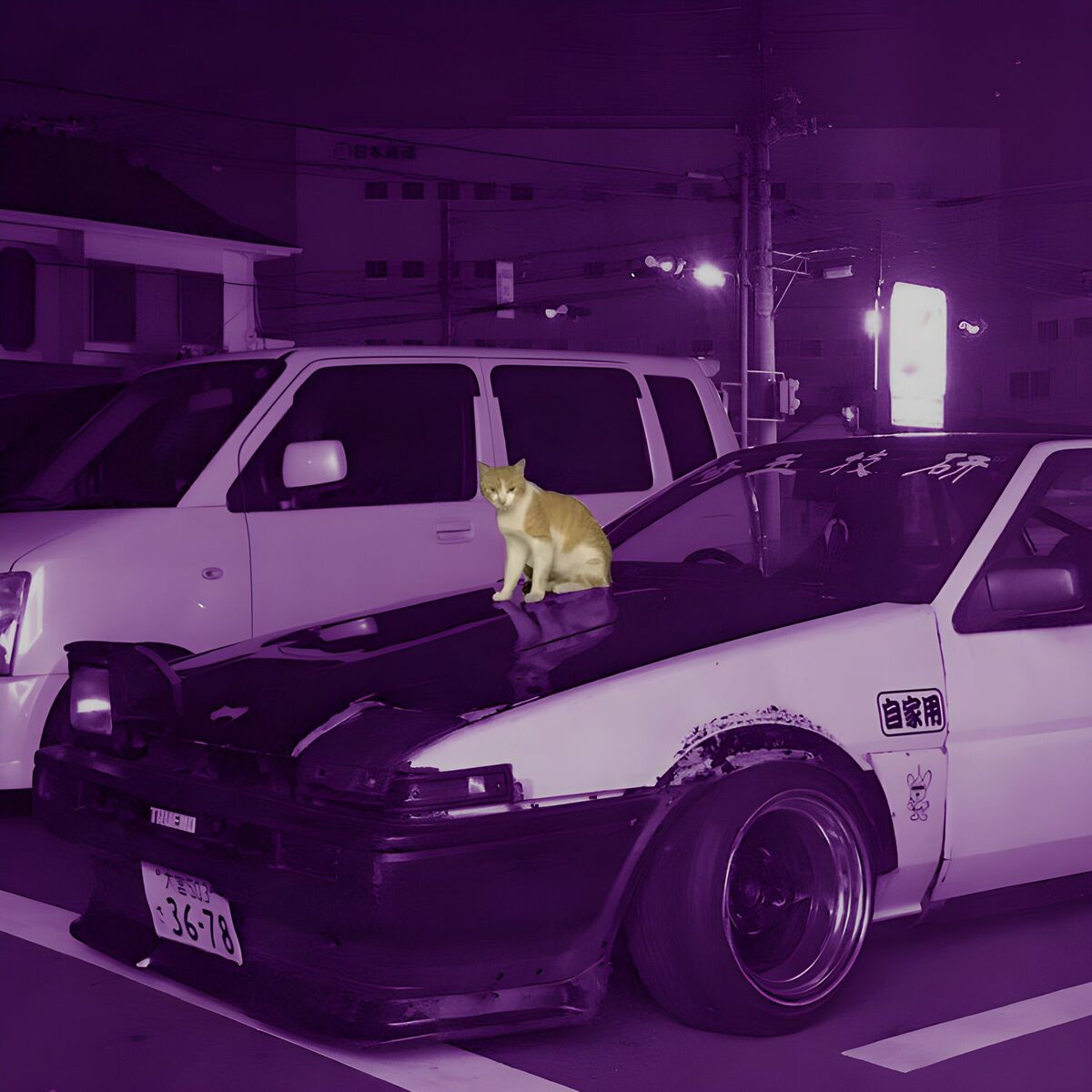 Album cover of kitty phonk