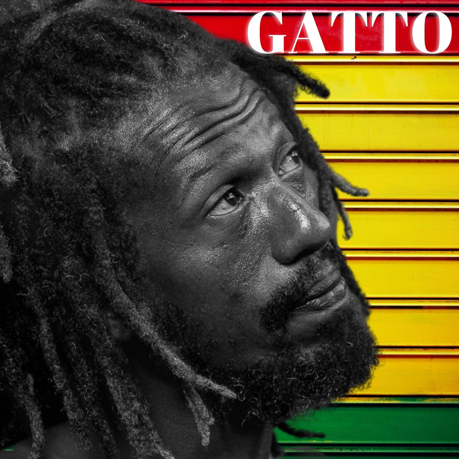 Album cover of Gatto
