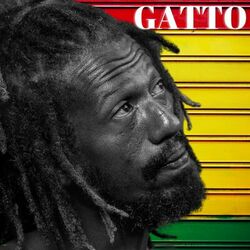Cover of Gatto