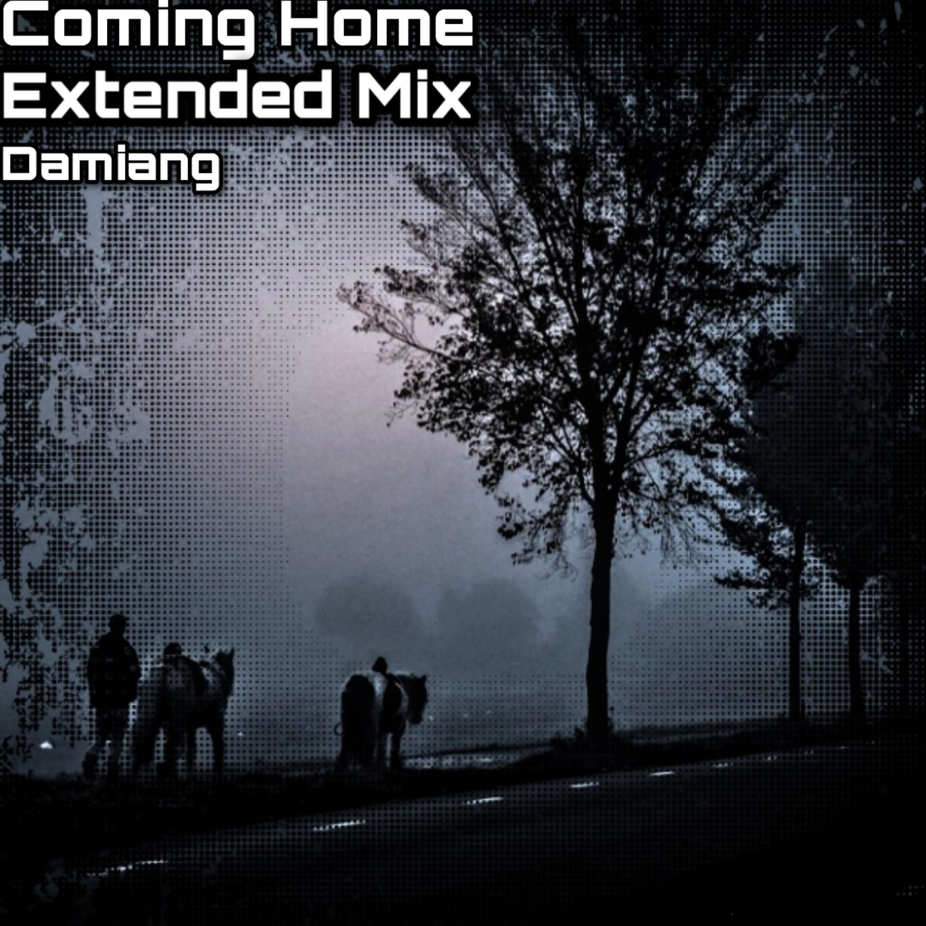 Album cover of Coming Home