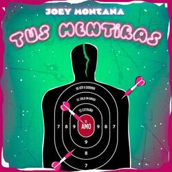 Cover of Tus Mentiras