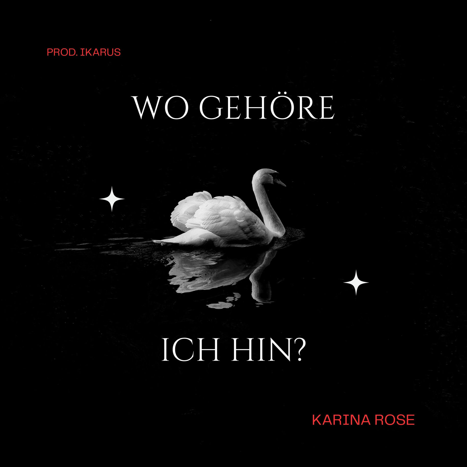Album cover of Wo gehöre ich hin?