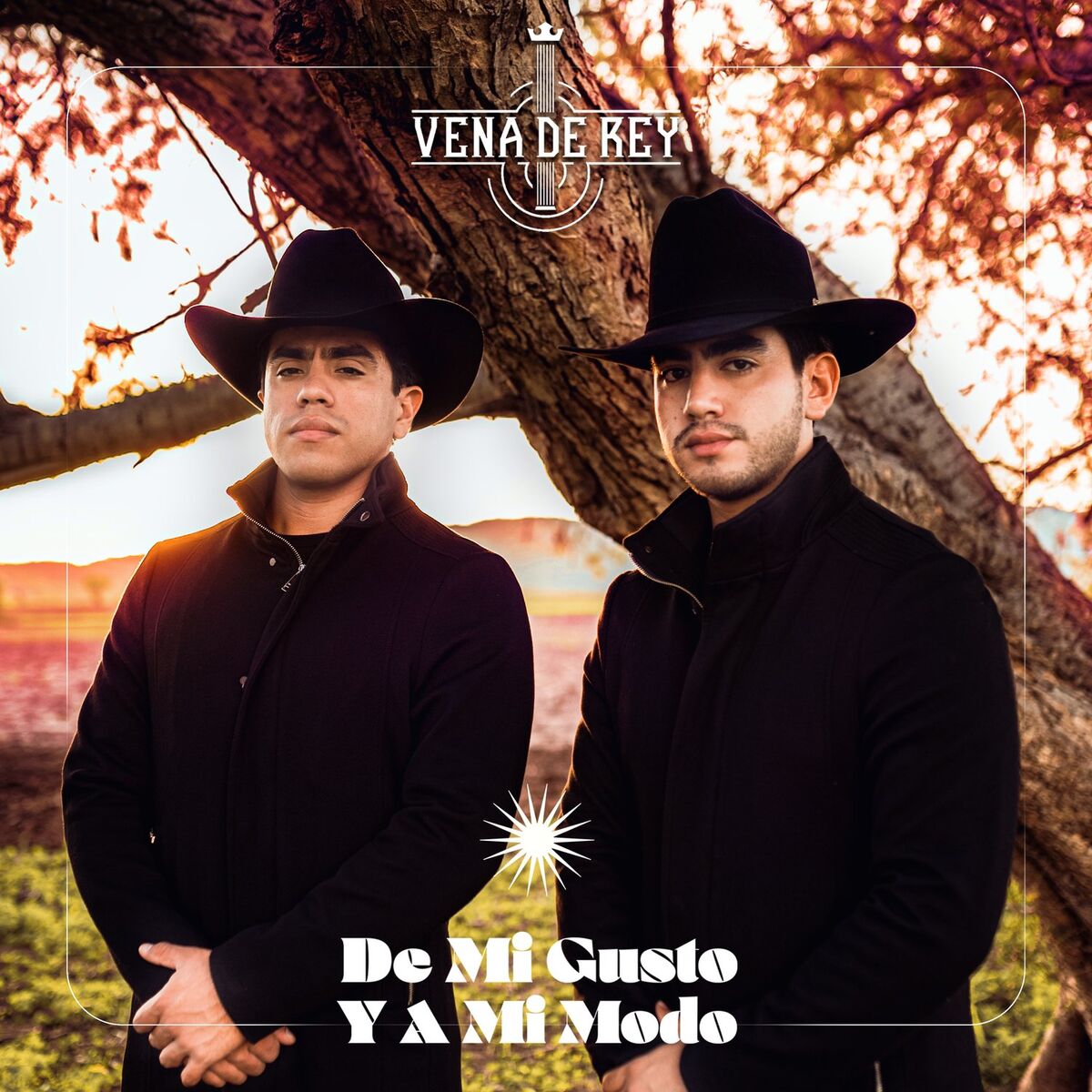 Album cover of De Mi Gusto y a Mi Modo