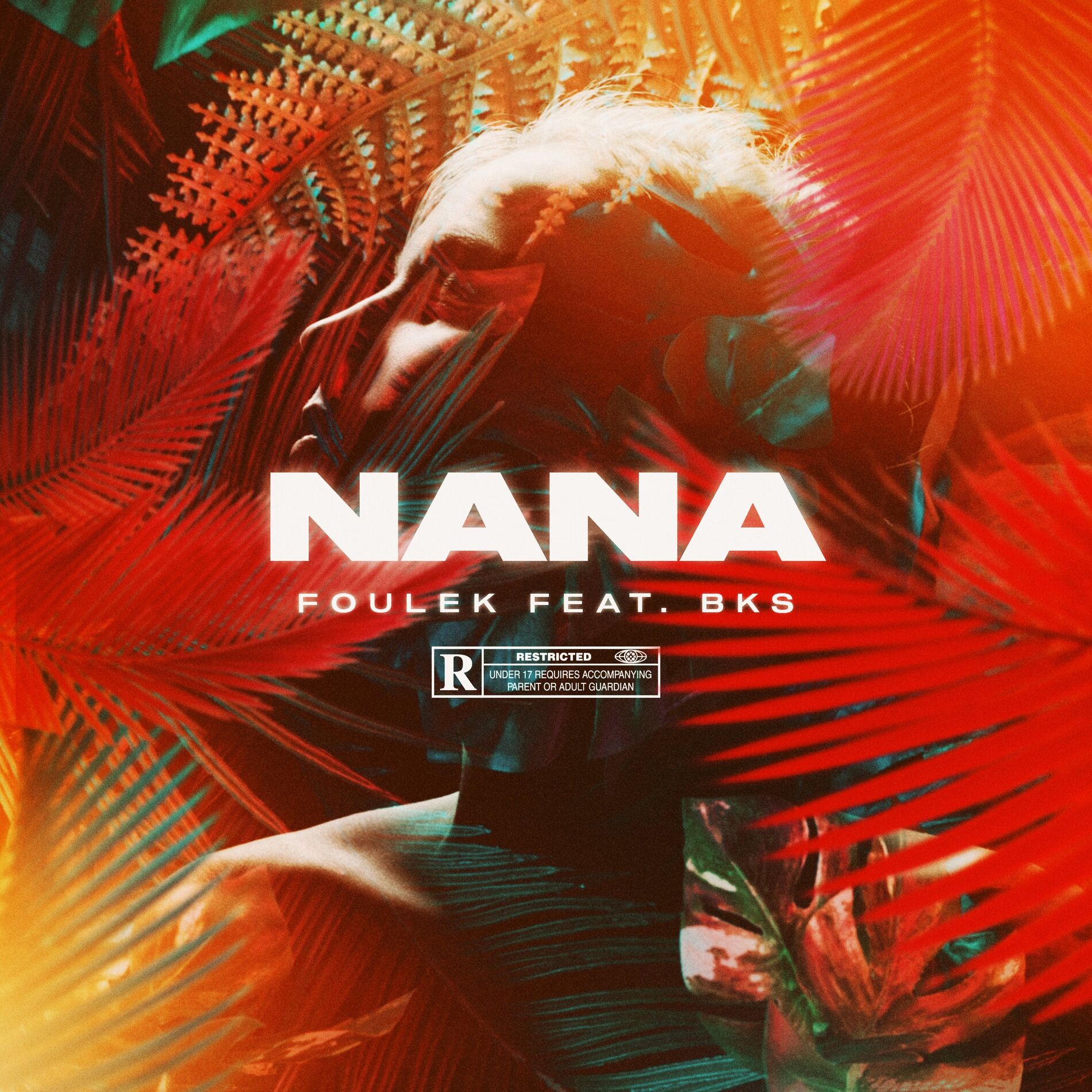 Album cover of Nana