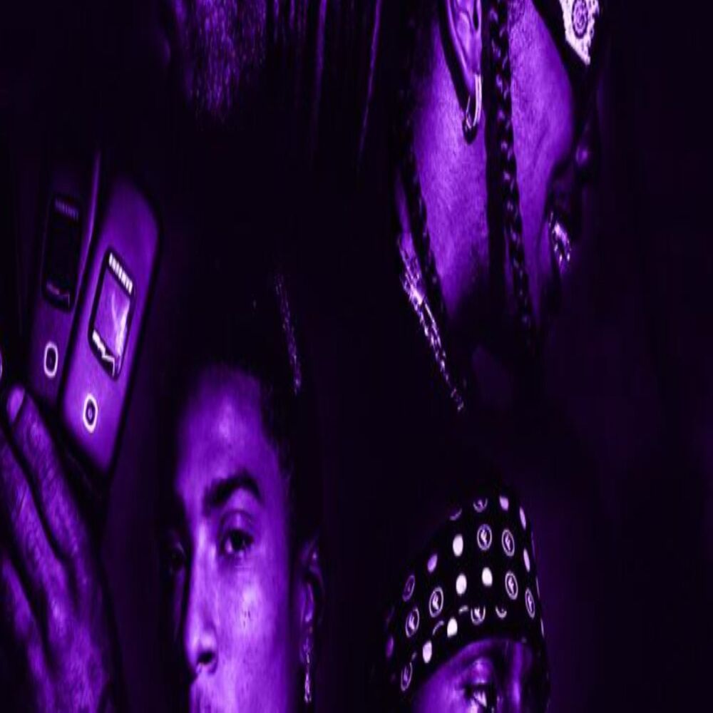 Picture of The Purple Force
