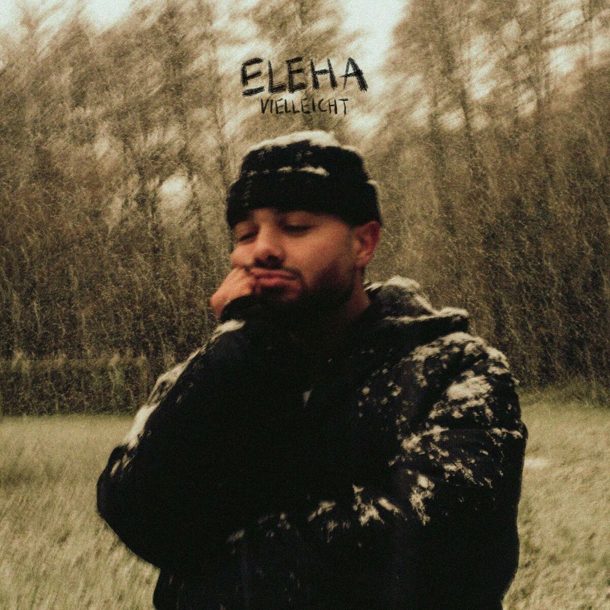 Album cover of Vielleicht