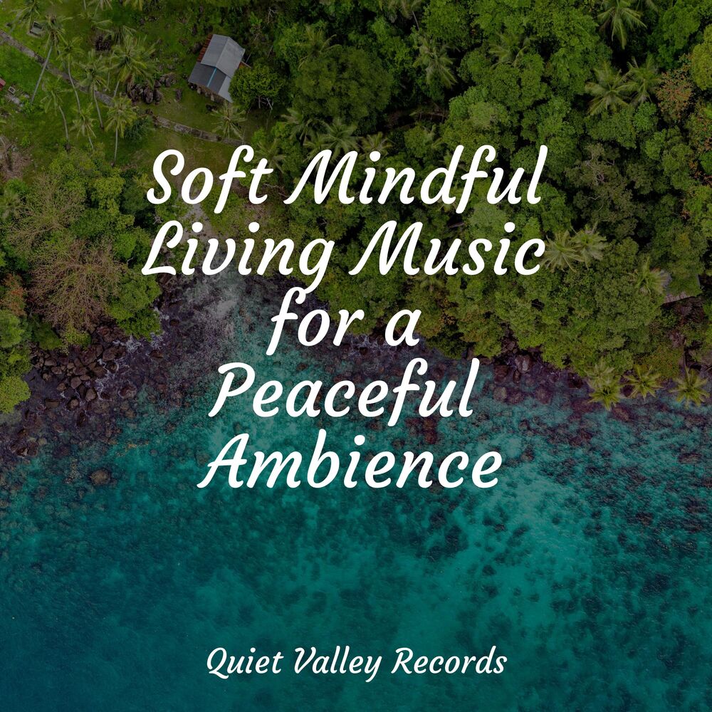 Picture of Soft Mindful Living Music for a Peaceful Ambience
