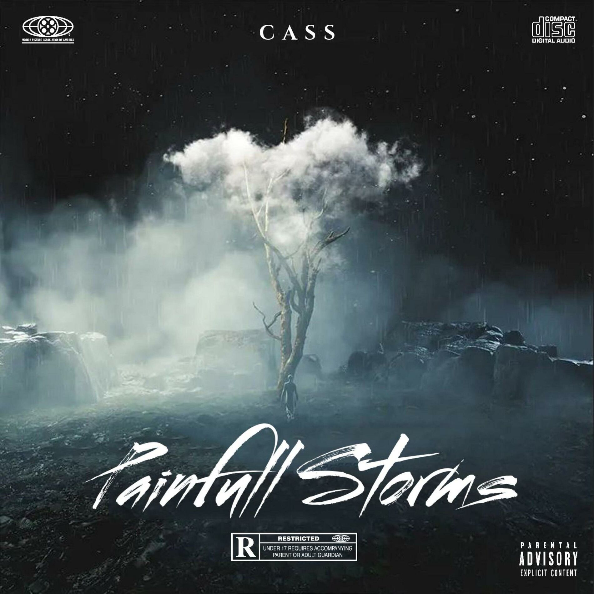 Album cover of Painfull Storms (The Ep)