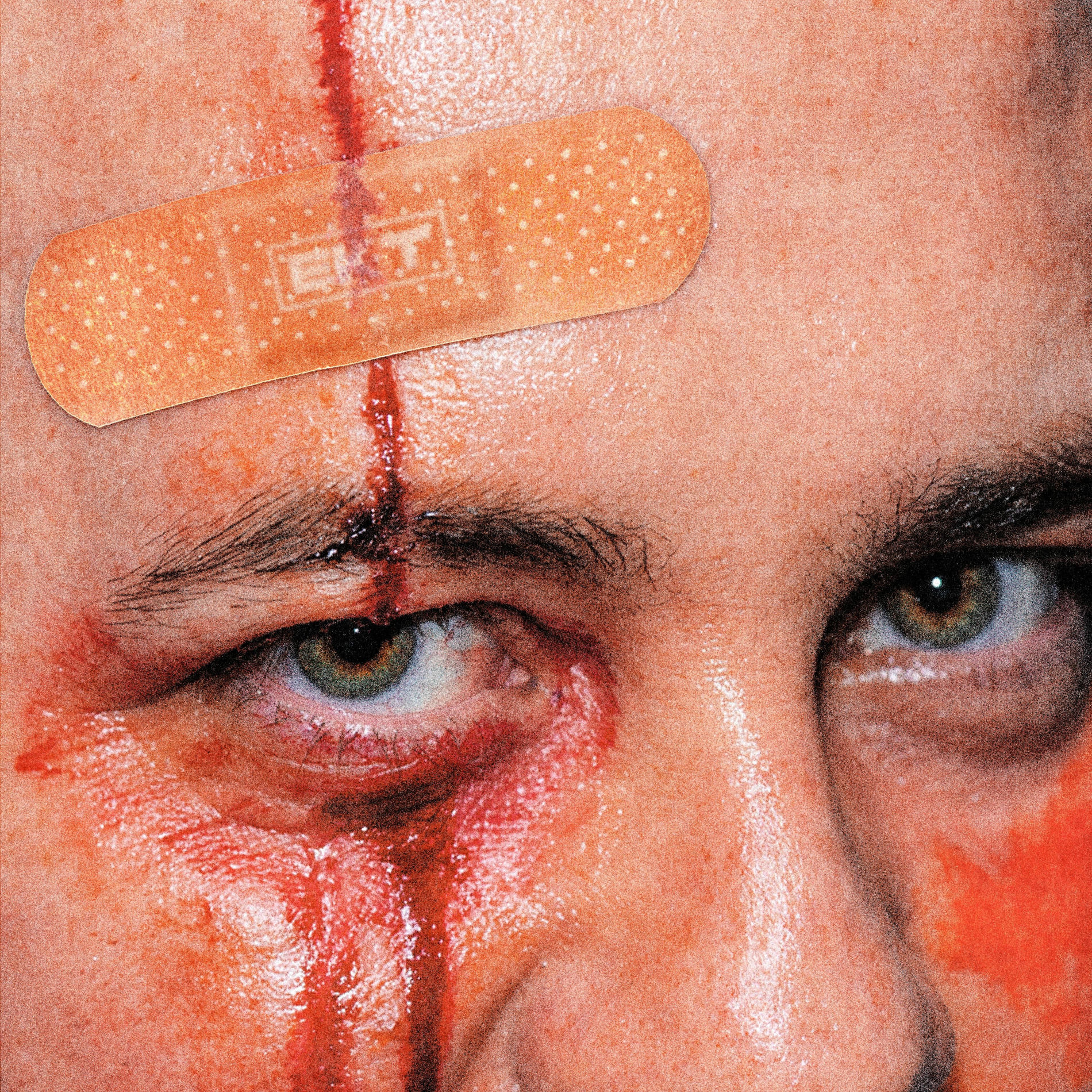 Album cover of Never Fading Light